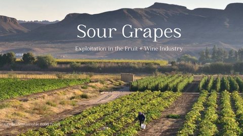 Sour Grapes - Fight exploitation in the Fruit & Wine Industry